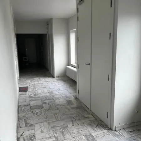 Amajed * Namur